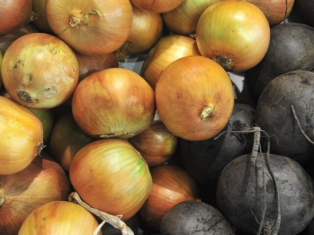    Фото: портал мэра и правительства Москвы​