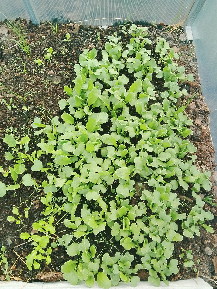 7 апреля 2026 г. 