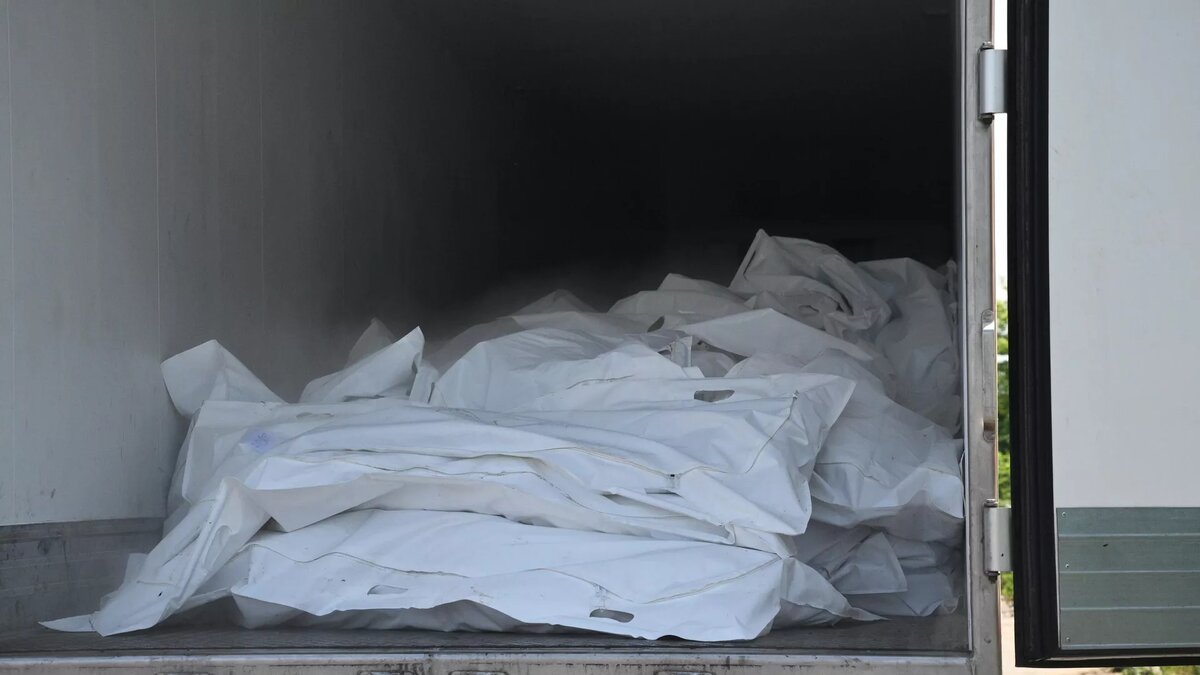 Рефрижераторы с телами военнослужащих ВСУ / © Sputnik / Кирилл Зыков