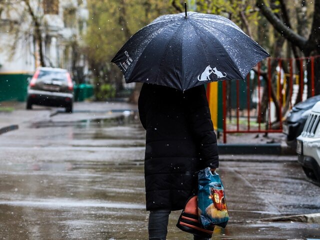    Фото: Москва 24/Лидия Широнина​