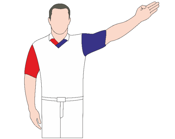 Представление участников. При представлении участника, арбитр, стоя в полоборота лицом к судейскому столу на краю рабочей зоны ковра, поднимает в его направлении прямую руку с рукавом соответствующего цвета. Затем одновременно поднимает до уровня плеч прямые руки (рёбрами ладоней вниз) в направлении спортсменов. Сводит руки, указывая на середину ковра и подходит к ней одновременно с атлетами.