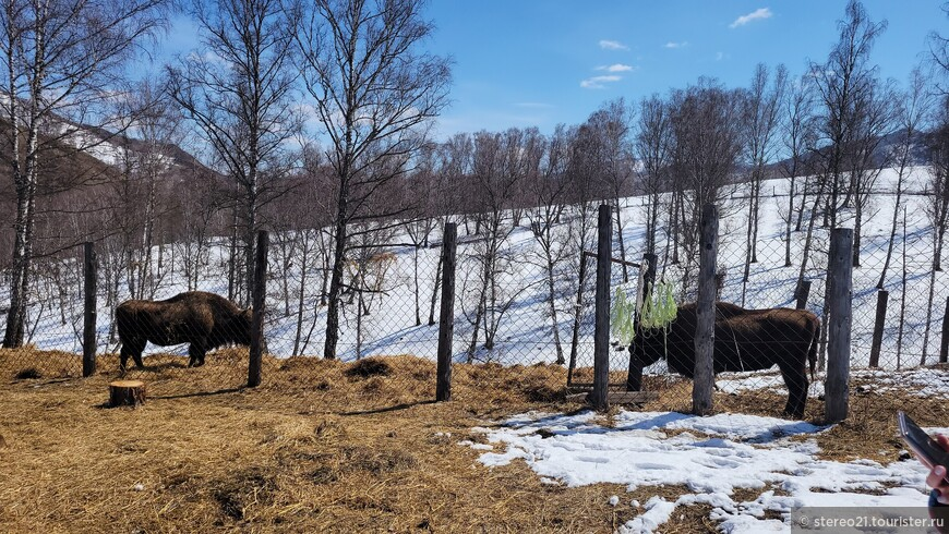 © Илья Антонов