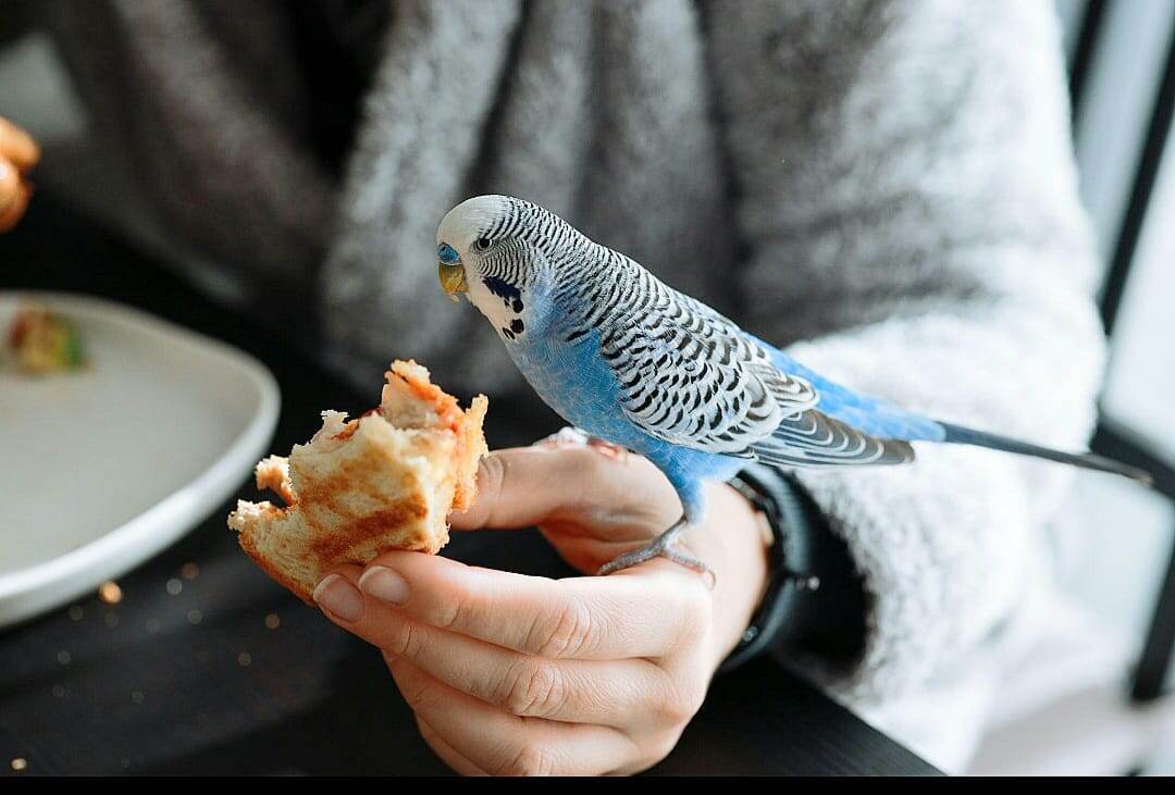 Ах, не стоит этого делать