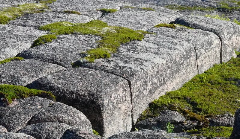 Изображение взято с сайта https://avatars.mds.yandex.net/i?id=6ef31fa14ad22bacec6f7d52046513f6_l-5177970-images-thumbs&n=13