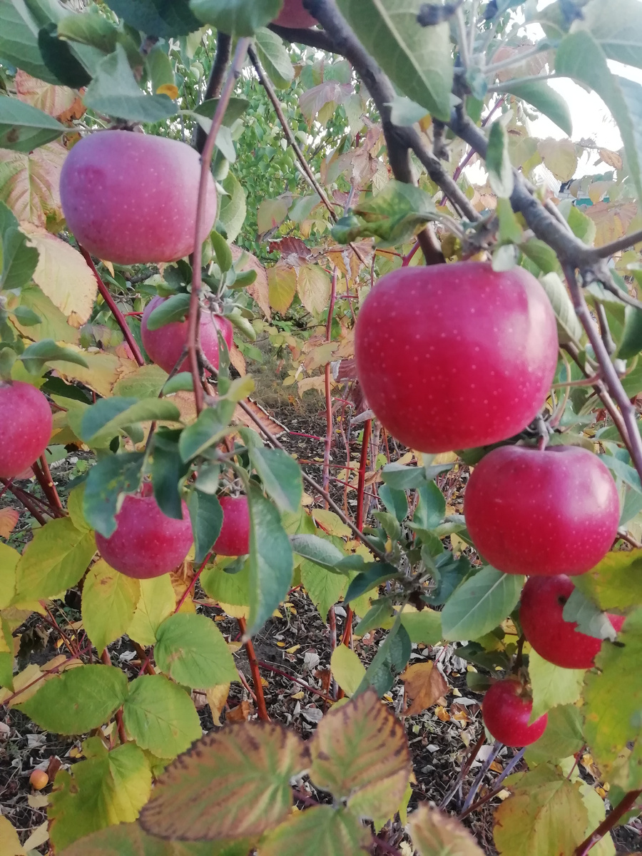 фото личное