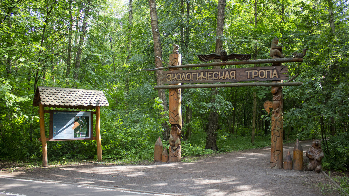 Источник фото: https://eco-trails.ru/catalog/moskva/v-valuevskom-lesoparke/ 