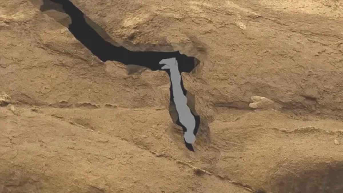 Фото из открытых источников