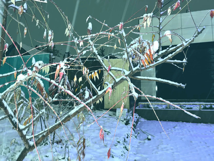 Саратов 9 апреля