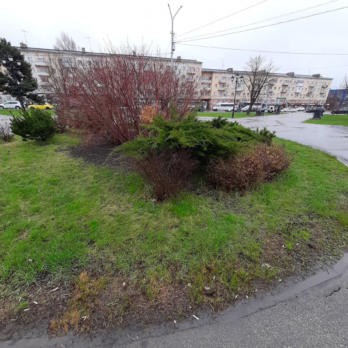 Через полчаса выпал снег