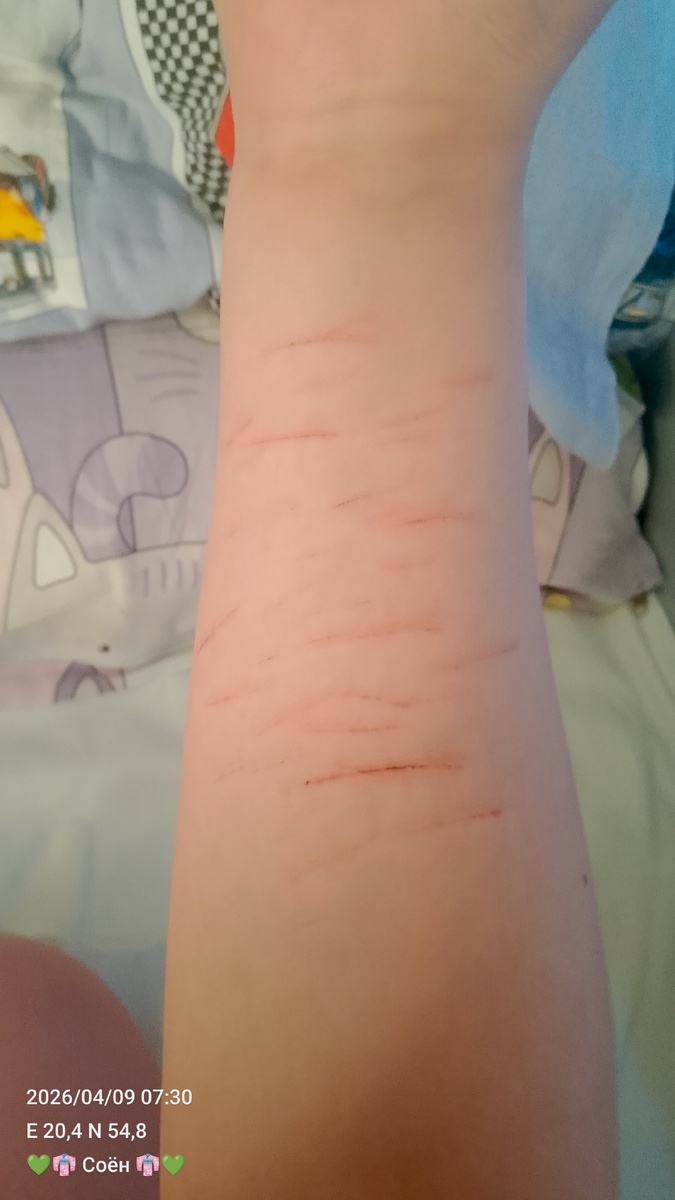 Мн5 т7к нр4в8тс3 эт0))) 