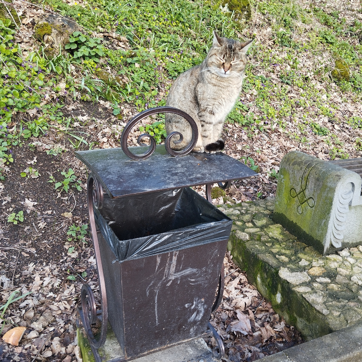 Только попробуйте мусор мимо урны кинуть!