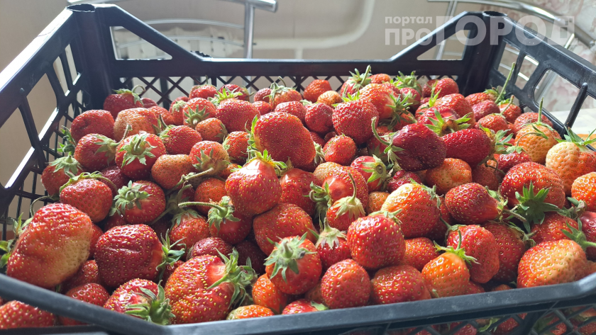    Фото: ПроГород