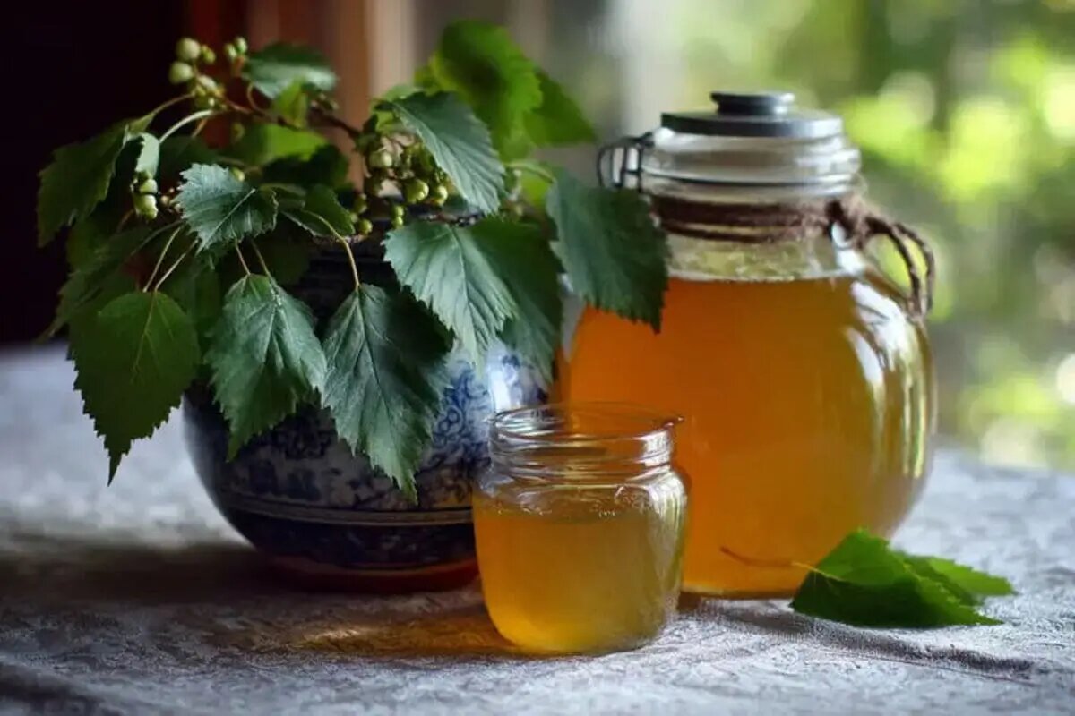 Квас из березового сока