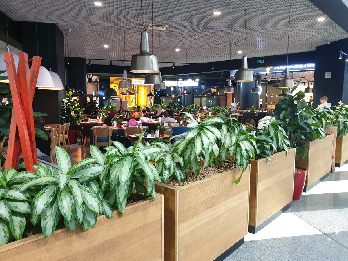 Зона ресторанов "Магадан", "Колбасный цех" и Ava Bistro