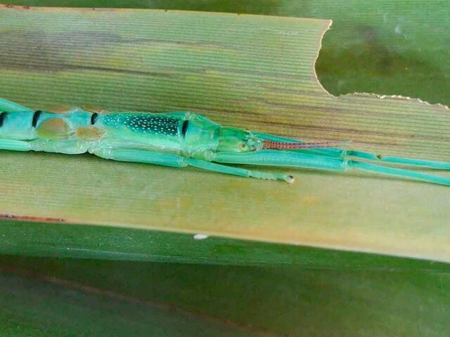    Фото: пресс-служба департамента культуры города Москвы