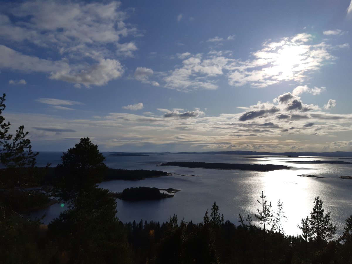    Маргарита Чащина