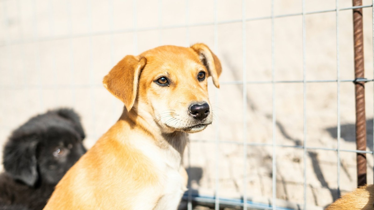    Эмоциональная устойчивость — навык, который можно и нужно развивать