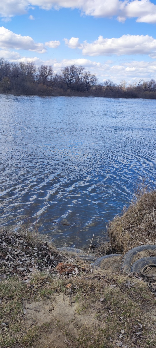 Наша река. Вода заметно прибыла.