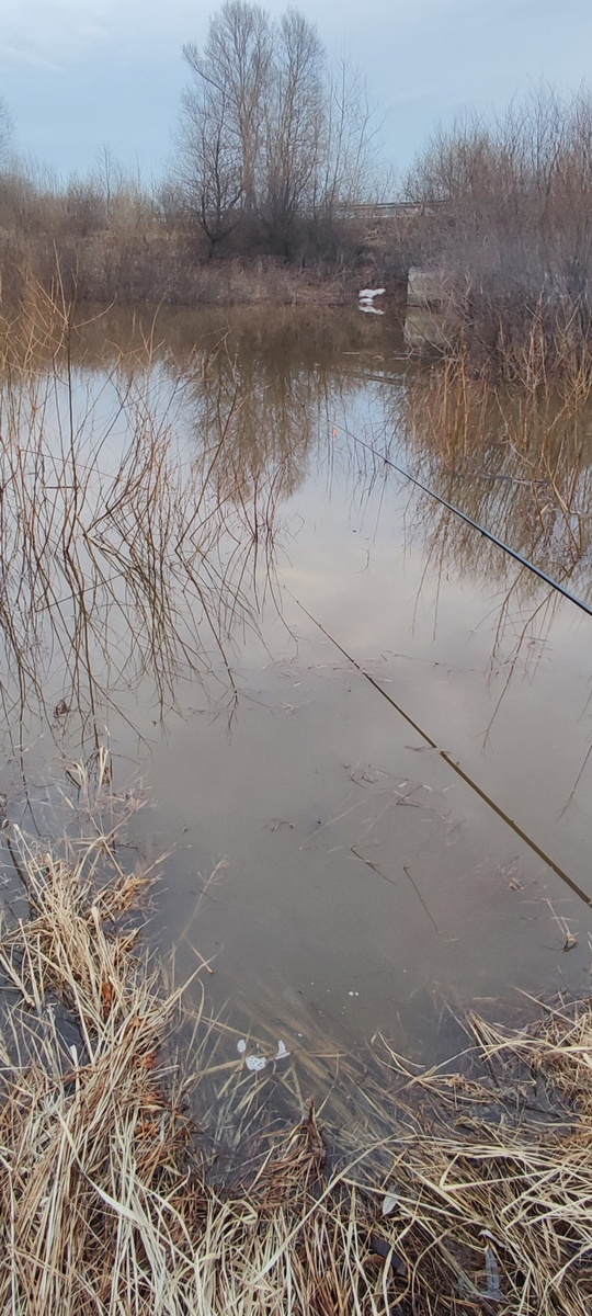 В ручье тоже прибыло