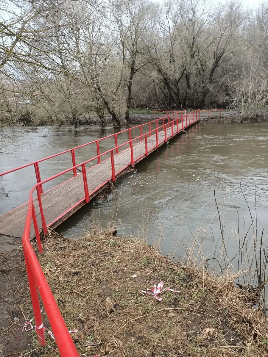 Фото: администрация Курска