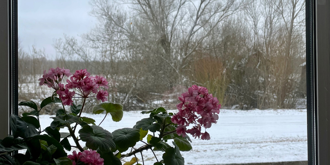 Она вернулась.