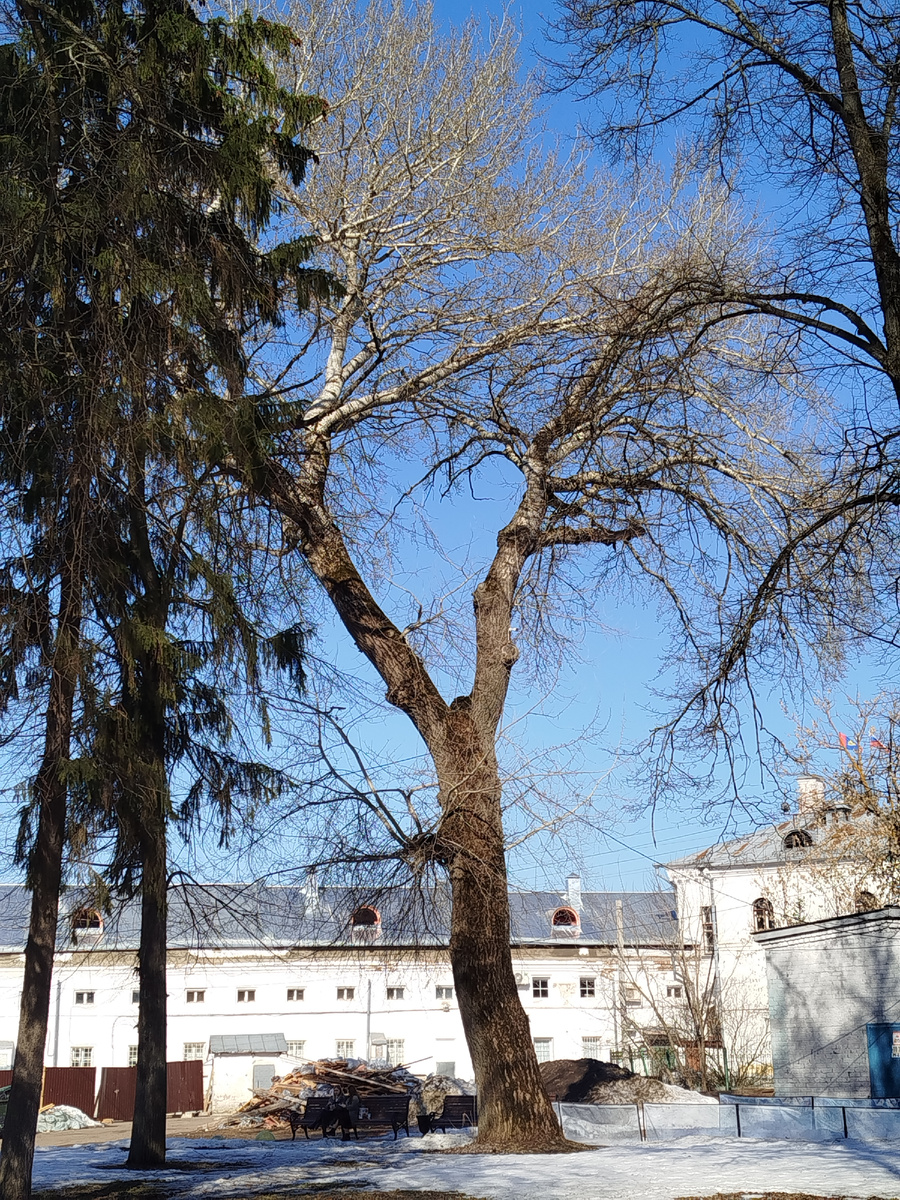 здесь и далее - фото автора 