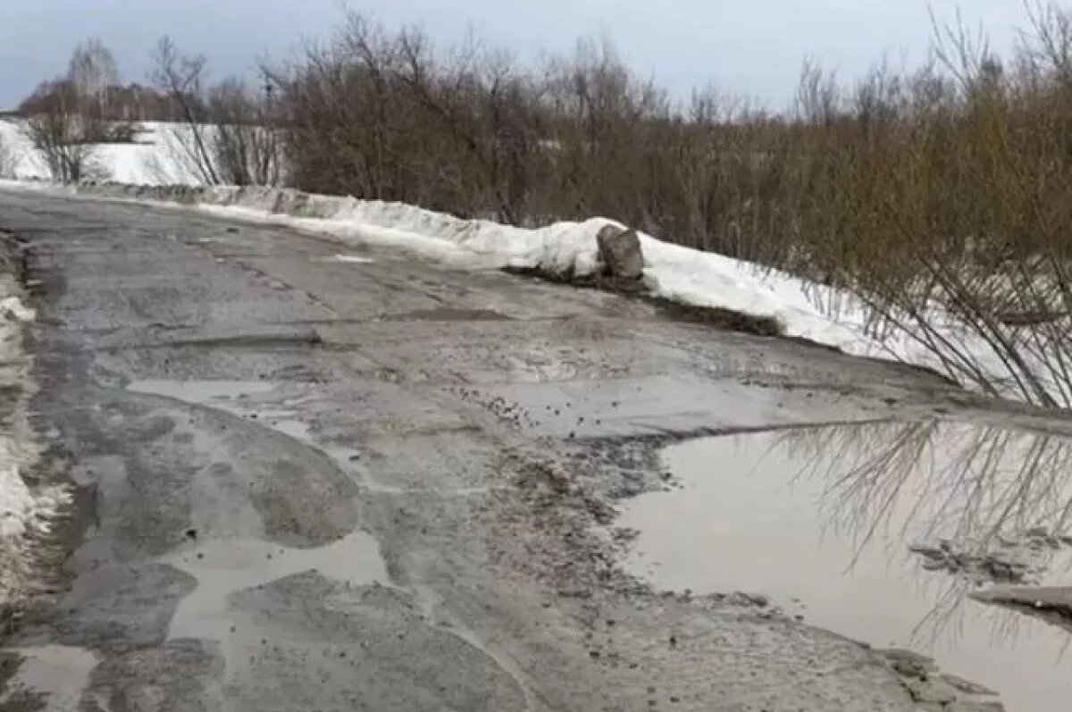    Под Новосибирском жители «Гармонии» добились внимания к разбитой дороге