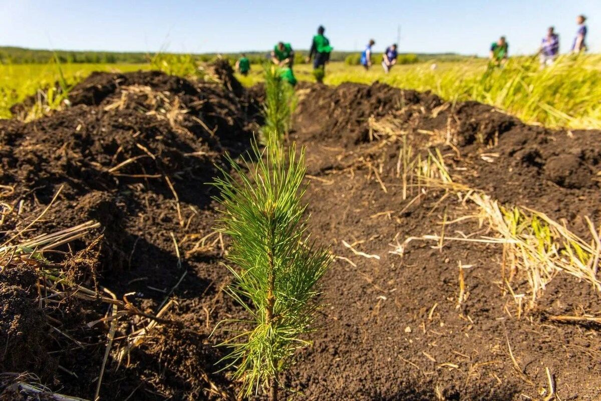Фото: пресс-служба Альметьевского района РТ