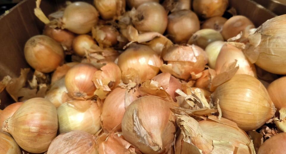    Maksim Konstantinov/Global Look Press / www.globallookpress.com