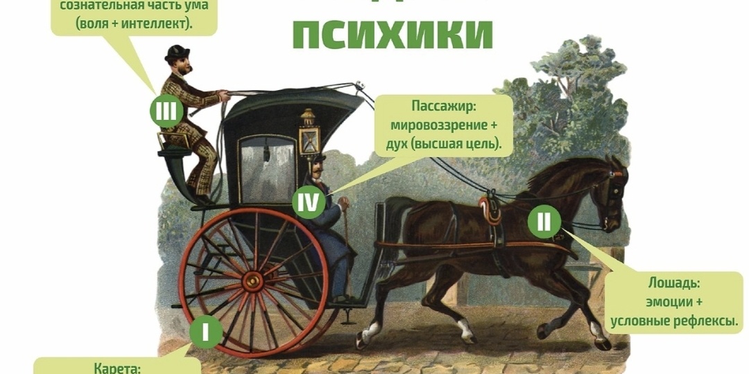 Темперамент, самопомощь и психология