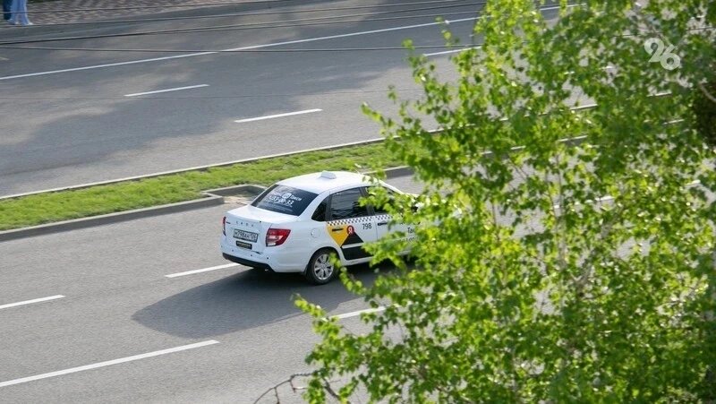      Фото: Валерия Алтухова / / ИА «Победа26»