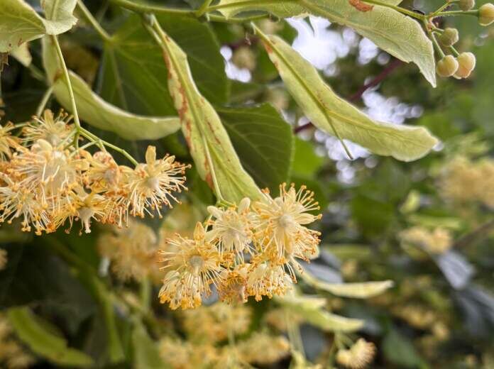    Фото: v-kurse.ru