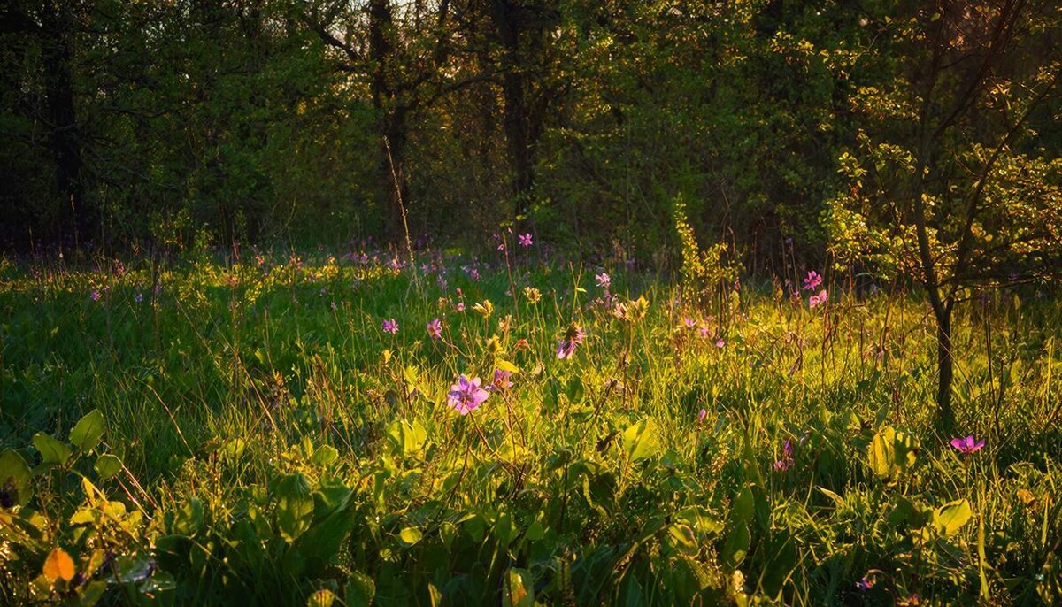 День для спокойного и гармоничного времени с собой и близкими.