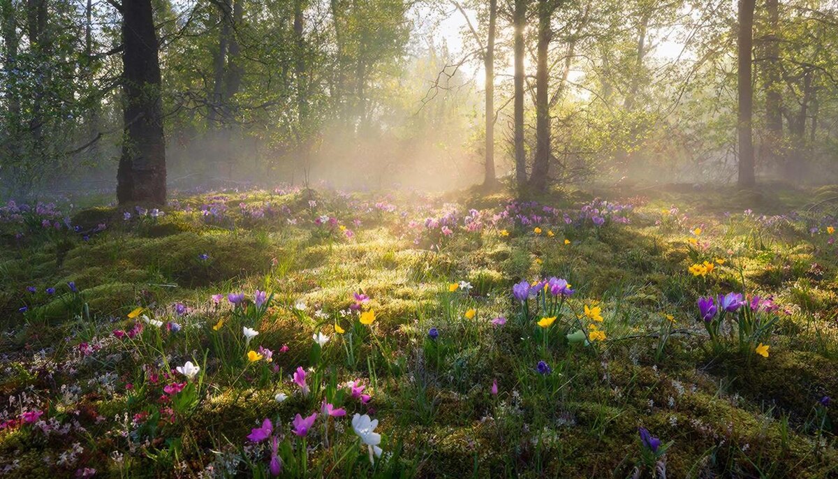 Лучшее воскресенье для того, чтобы начать новые дела в апреле.