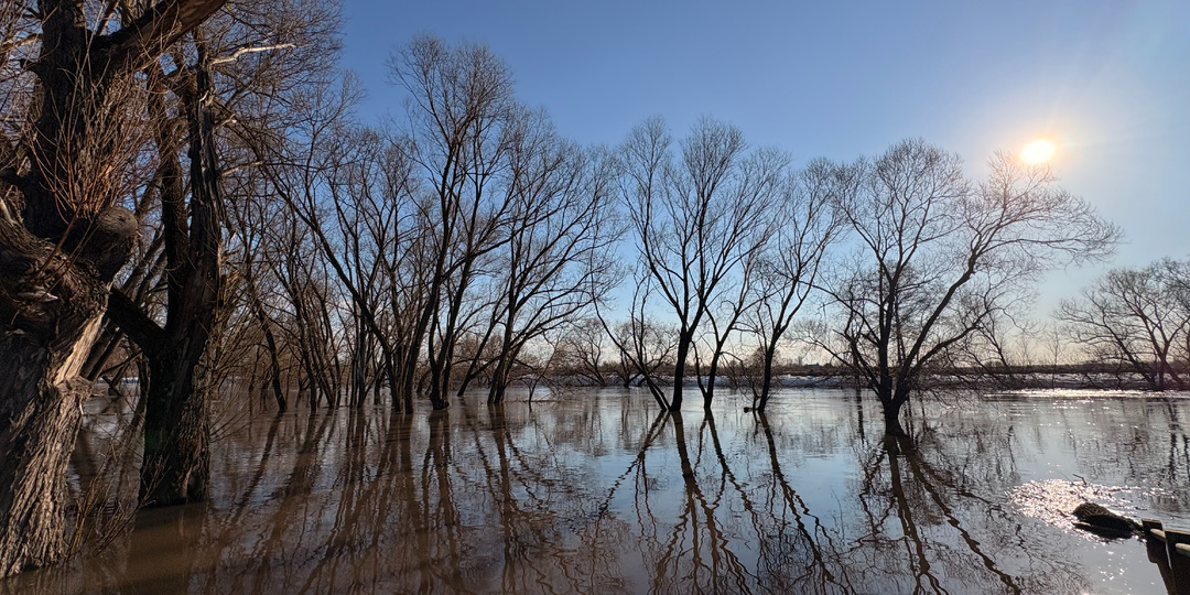 Разливы в 2026 году: Зарайск и Ливадия по состоянию на начало апреля 2026 года. Половодье 2026