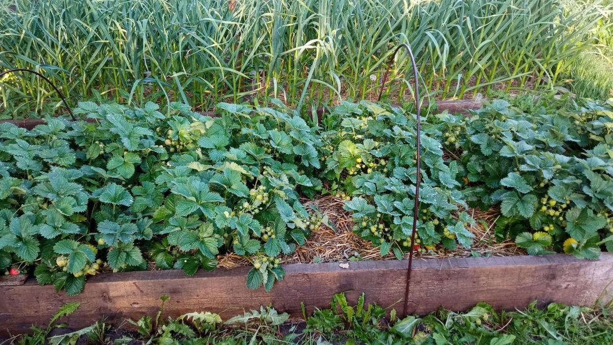 Фотоотзыв от клиента