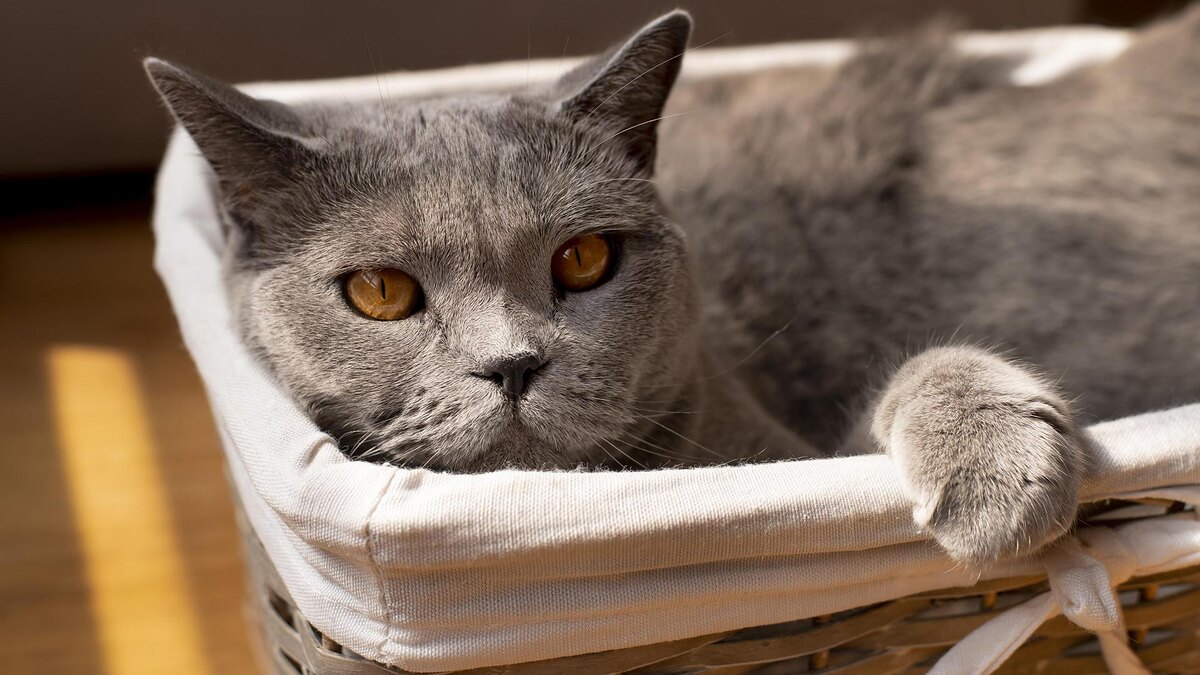    Фото: freepik.com