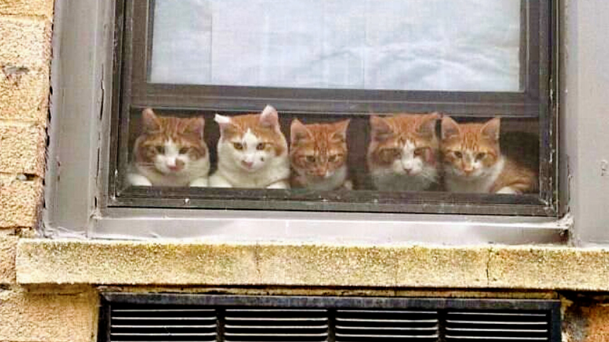 Сегодня пятница. Значит вернётся раньше. Нужно действовать быстро.