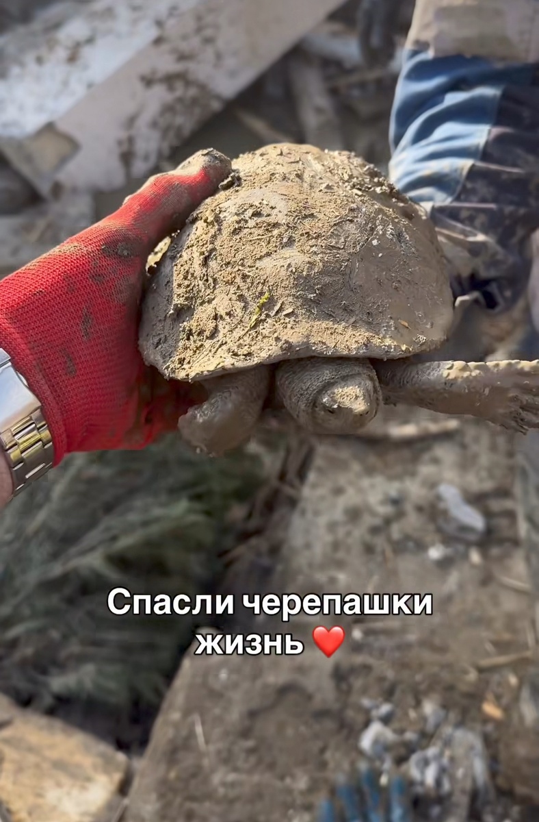 Скриншот из сторис аккаунта Хаскила (@xaskil.vozhd)