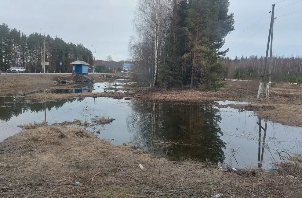     © "Интерфакс". Андрей Сенчёнок