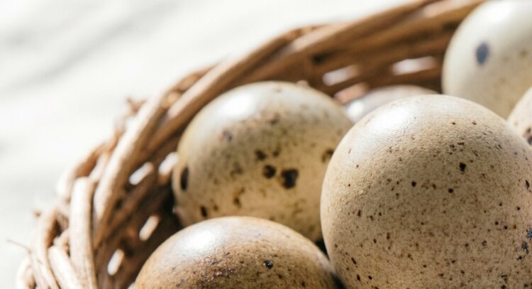    Фото: Медведева Анна, AgroXXI.ru