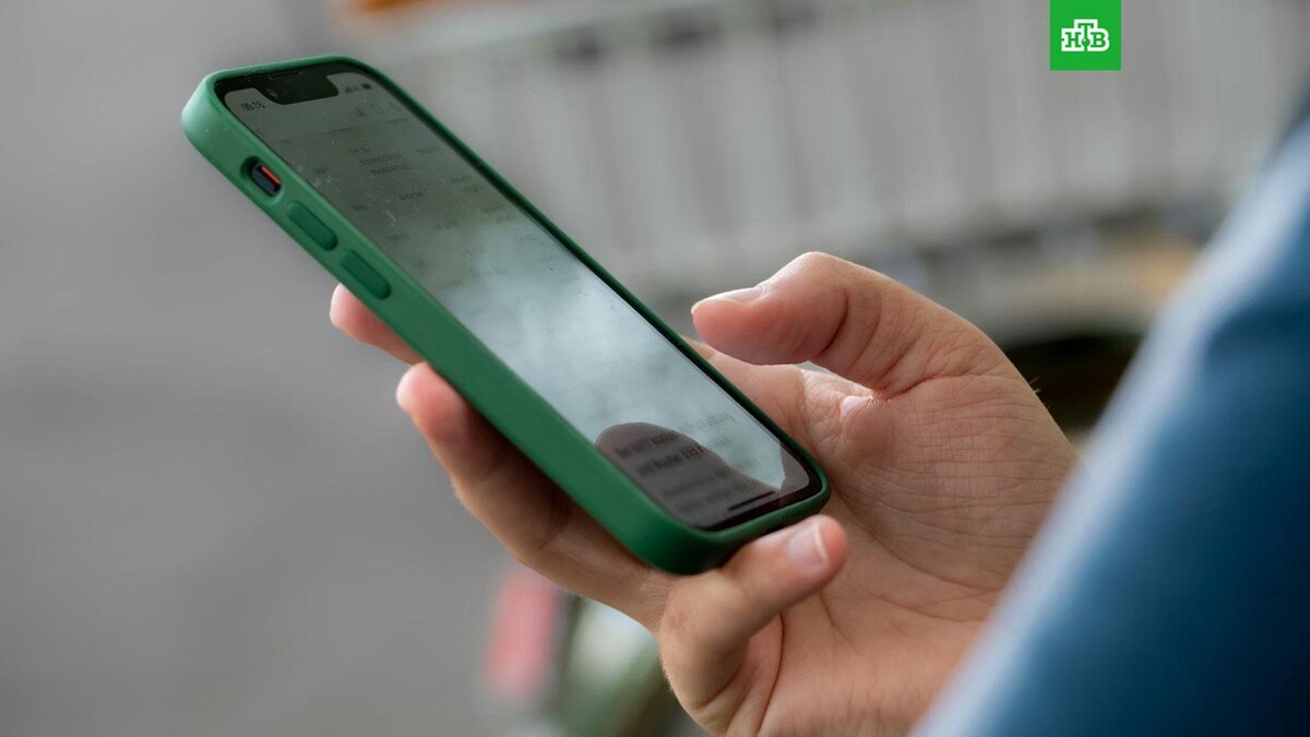    Фото: Rapha Wilde / unsplash.com