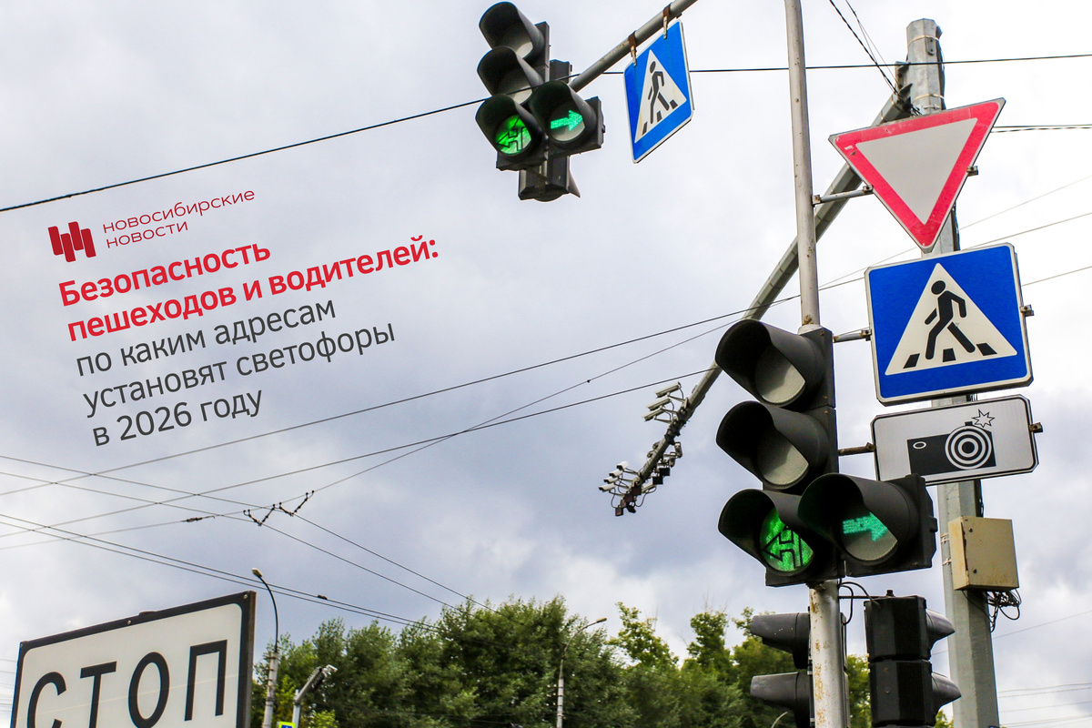    Инфографика: nsknews.info