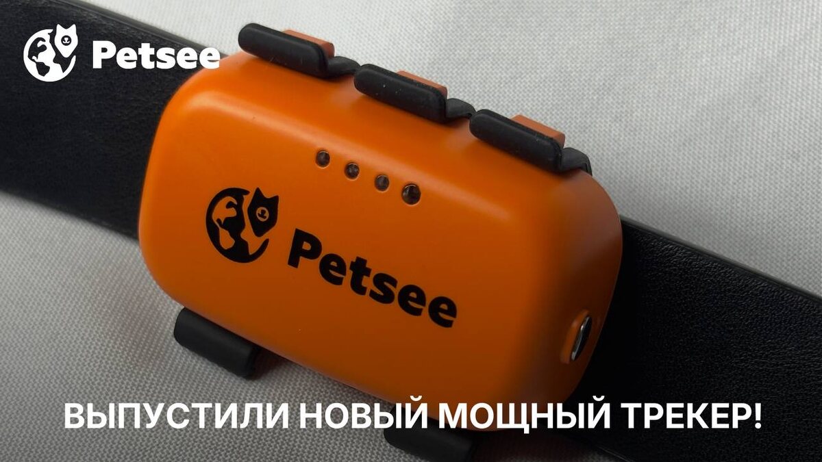 Честный разбор нового Petsee Pro