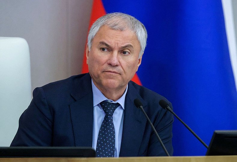 Володин: количество оснований для выдворения мигрантов будет удвоено