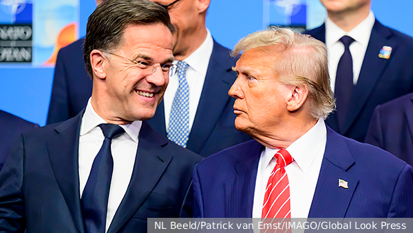     Фото: NL Beeld/Patrick van Emst/IMAGO/Global Look Press   
 Текст: Дмитрий Зубарев