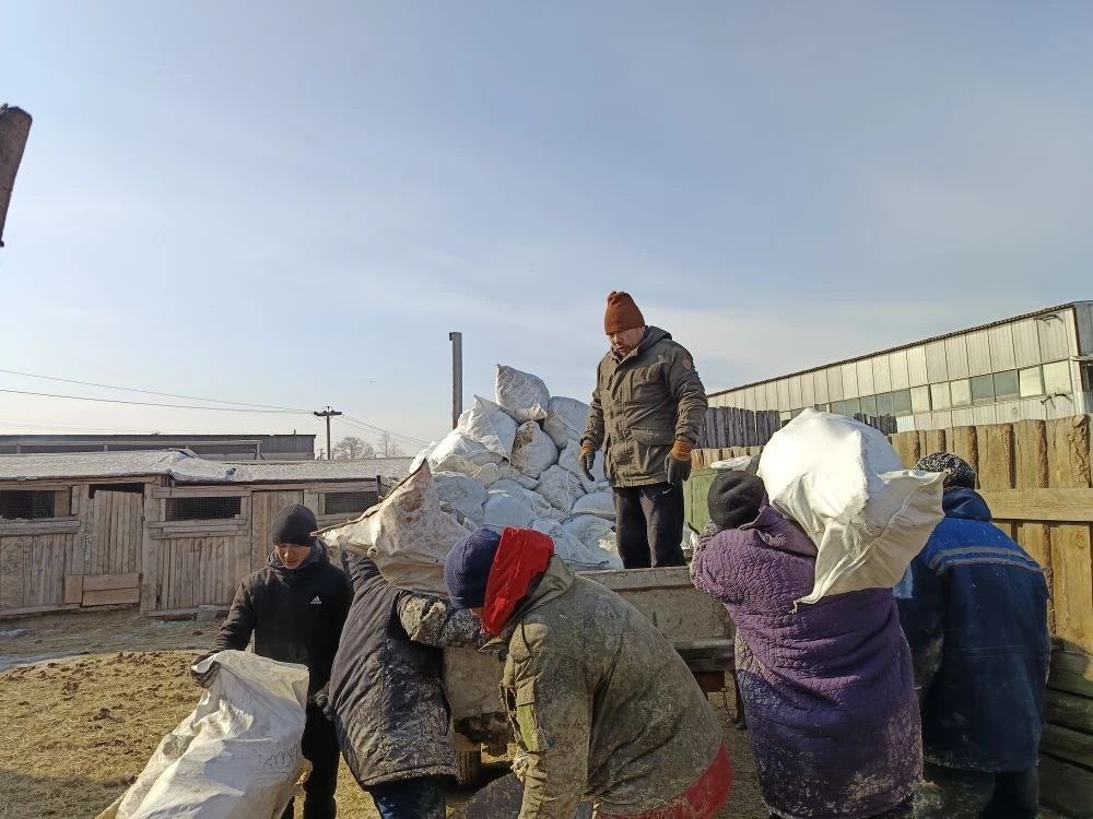 Вывоз мусора из приюта Ананда