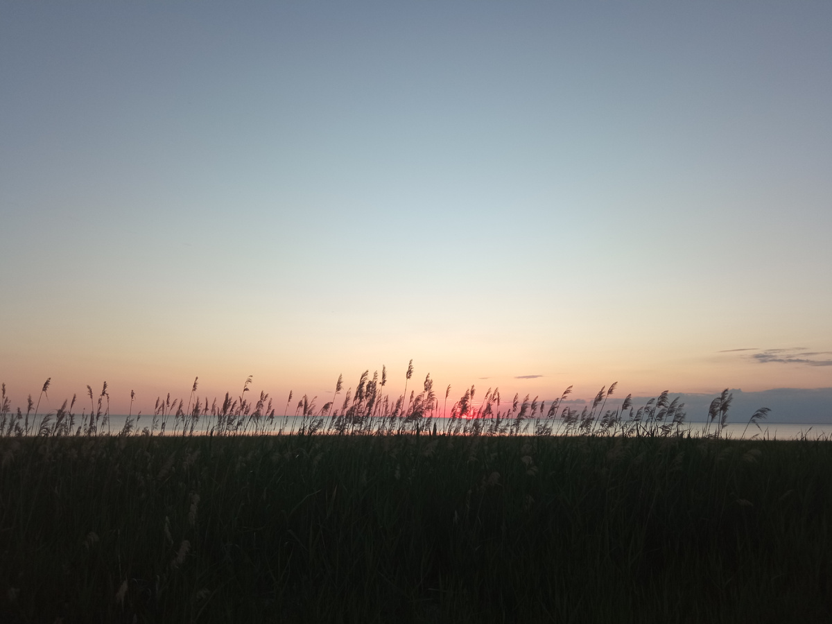 Йога‑ретрит в гостевом доме «Живые камни» на живописном побережье Таганрогского залива