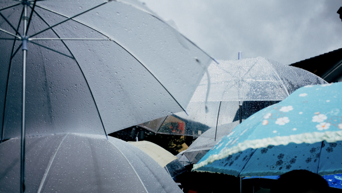    jcomp / ru.freepik.com