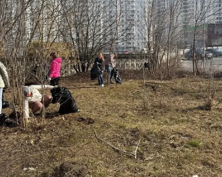     Сотрудники администрации Курска вышли на санитарный день